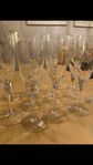 12 champagne/vitvinsglas Kosta Boda Chateau