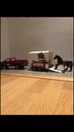 Schleich pick up bil med hästtransport
