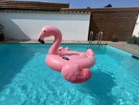 Uppblåsbar badleksak, flamingo, delfin, sködpadda, krokodi