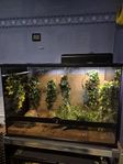 Exo terra terrarium