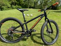 Orbea Mountainbike 24’