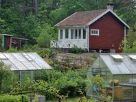 KOLONISTUGA TILL SALU