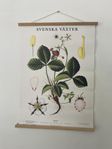 skolplanch poster med poster-list