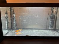 Akvarium 54 liter med 6 fiskar 