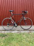 Raleigh Record Sprint