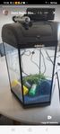 fisk akvarium  med alltilbehör 
