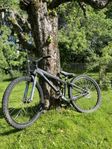 Specialized p.2- Dirt jump cykel.