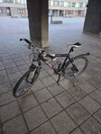 Cykel Herr