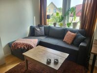 Bäddsoffa, bord och matta