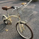 Corex Le Bois  bike for adults and kids rare 