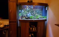 Akvarium 180 liter
