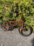 BMX GT