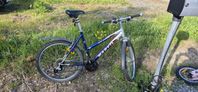 Marvil Rocky Mountain 26"