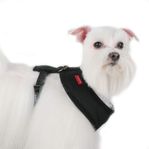Hundsele Puppia (5-8kg)