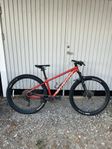 Specialized Rockhopper 29"