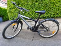Barncykel Peak Dingo 24" 3 vxl