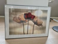 Tavla 50×70 cm