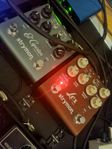 Strymon Lex V.2
