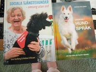 hund