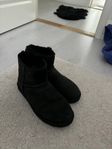 Uggs Herr 