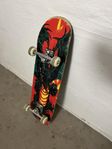 Skateoboard