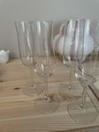 4 tulpanformade champagneglas i nyskick 