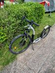 Kickbike för hundträning 