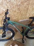 Hardtail Specialized rockhopper 