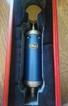 Mikrofon Bluebird SL 