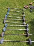 10 st Fasta skivstänger 12,5-37,5 kg!