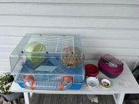 Hamsterbur med tillbehör