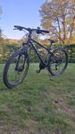 Mountainbike Kross Hexagon X6