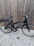 crescent 26” 