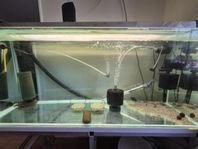 Akvarium 240 liter