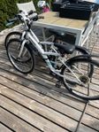 Cyklar 