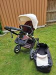 Bugaboo buffalo