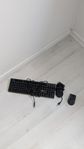 Gamingtangentbord, gamingmus och mouse bungee.