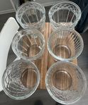 6 orkidékrukor i glas