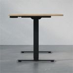 Höj- och sänkbart skrivbord – 120x80 cm, ek med svart st