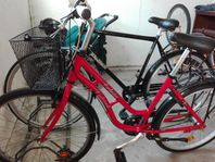 Röd Cykl