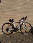 Damracer Scott Contessa Speedster 35 strl XS