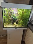 Akvarium Juwel Lido 120L
