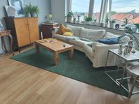 Mörkgrön IKEA SPORUP matta 200x300 cm