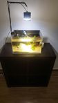 Säljer komplett 20L akvarium