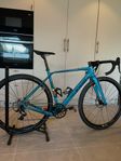 Cinelli King zydeco