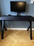 Gaming skrivbord+datorskärm