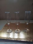 32 st champagneglas 