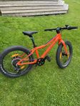 Scott Roxter mountenbike 20 tum