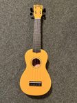 Ukulele Ny!