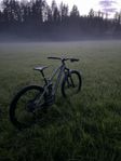 Canyon Nerve AL 7.0